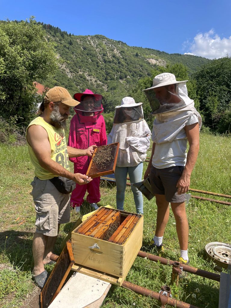 volunteers bee keeping
