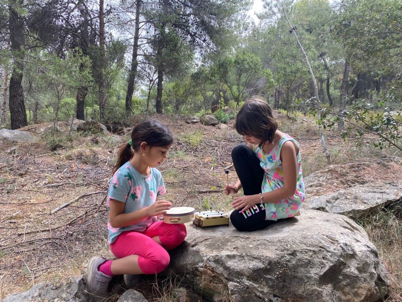 Ορχήστρα Βουνού (7)